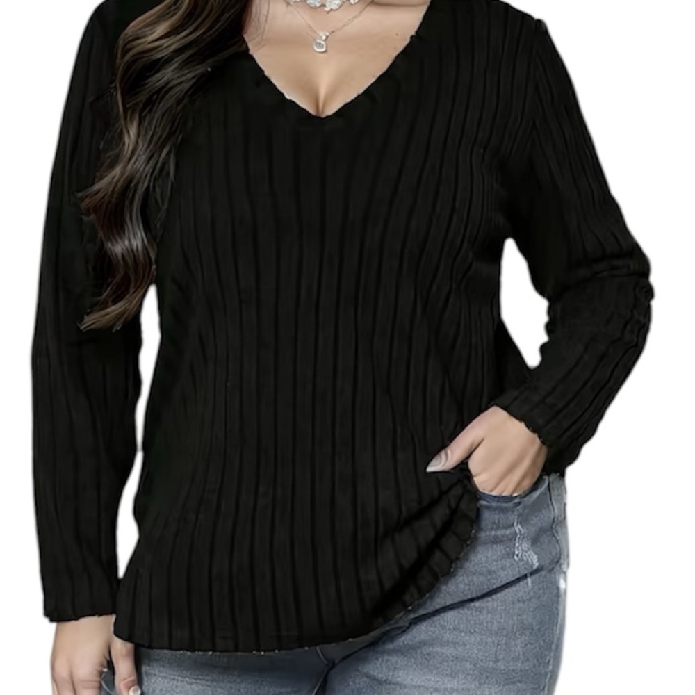 Plus‎ Sized V-neck Ribbed Top NWOT